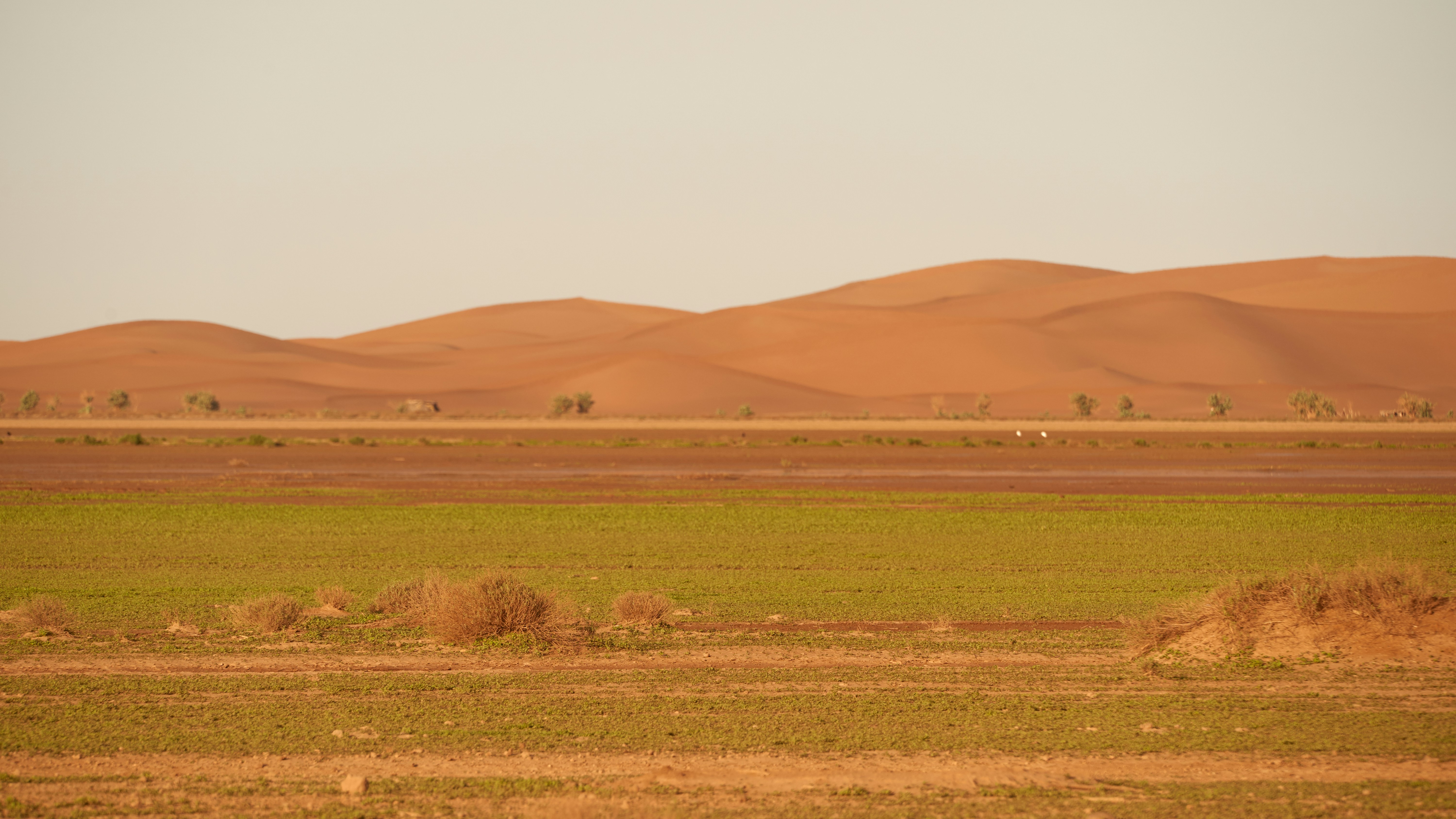 What Drives Water Stress?