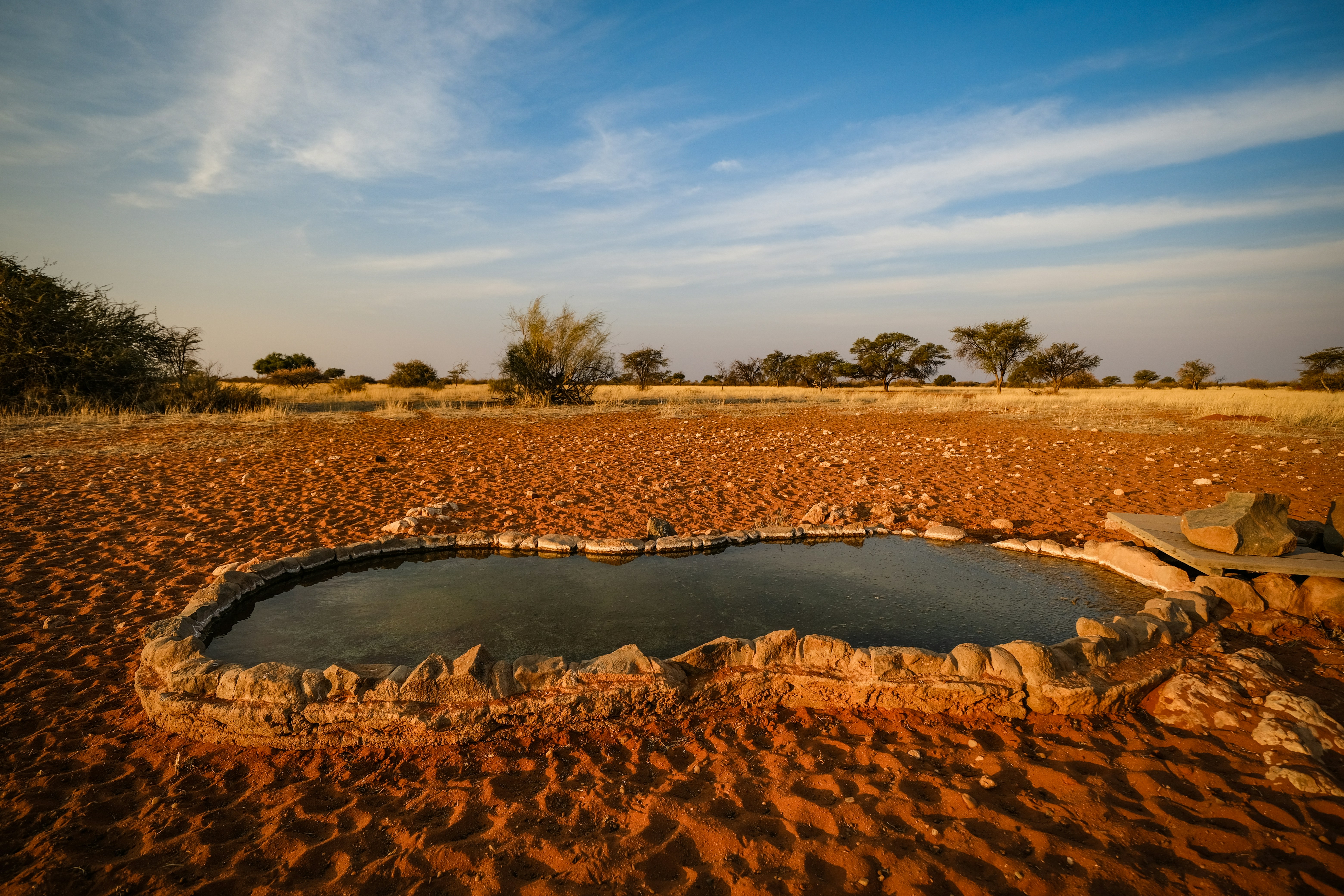 Countries with Highest and Lowest Water Stress (%)