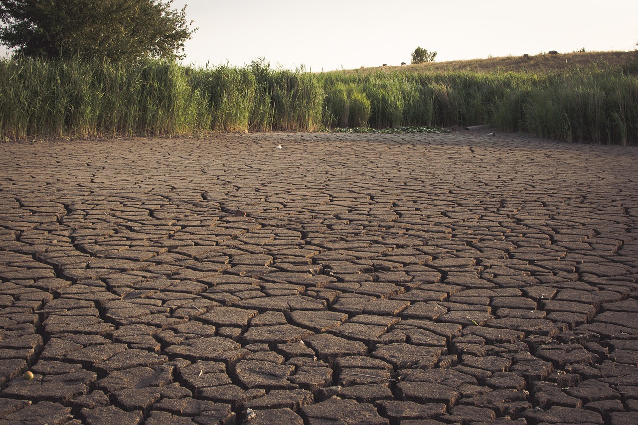 Global Water Stress Across Time